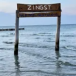 Frieda *